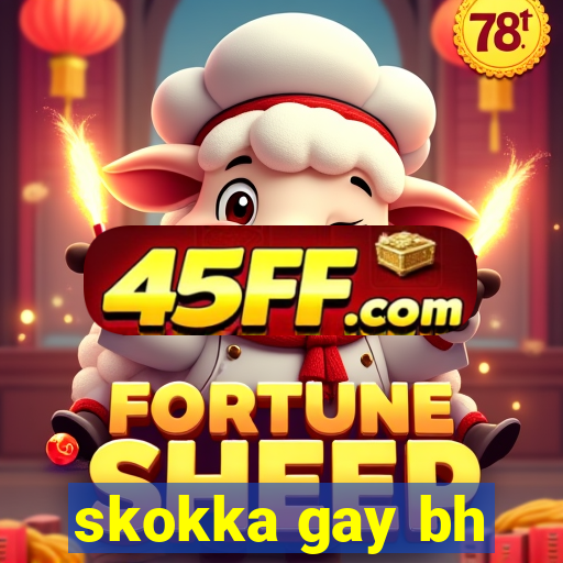 skokka gay bh